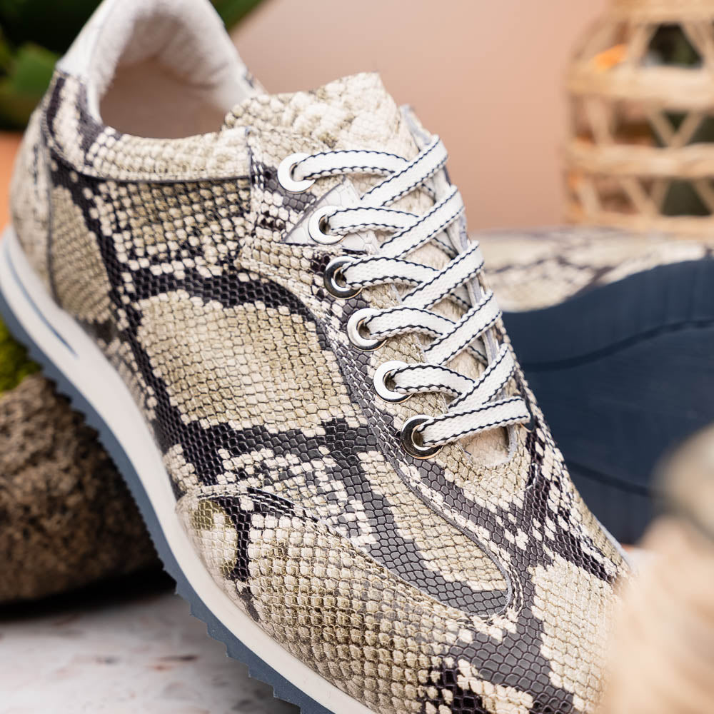 Zelli Peri Python-Embossed Calfskin Sneakers in Black / White