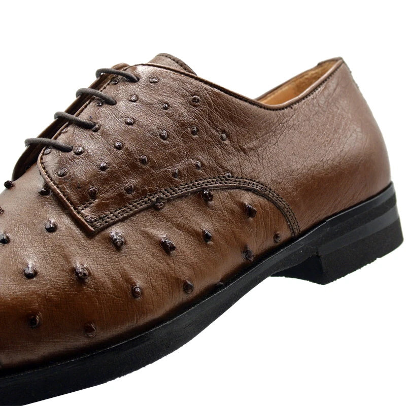 Zelli Andrea Genuine Ostrich Quill Cap Toe Derby Shoes in Brandy