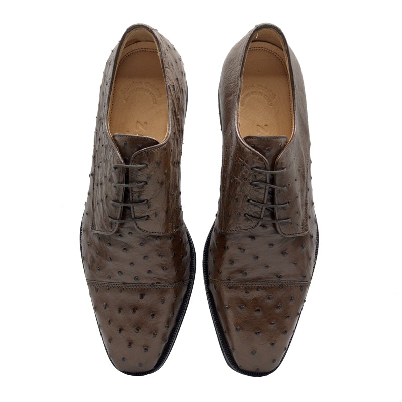 Zelli Andrea Genuine Ostrich Cap Toe Derby Dress Shoes in Brown