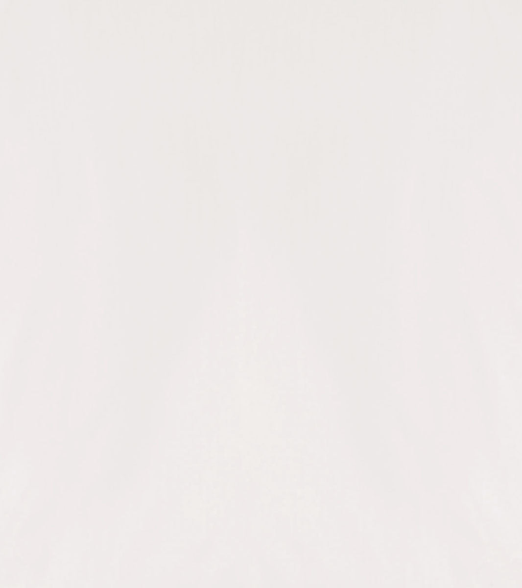 SULLIVAN DRESS SHIRT Spread Collar
