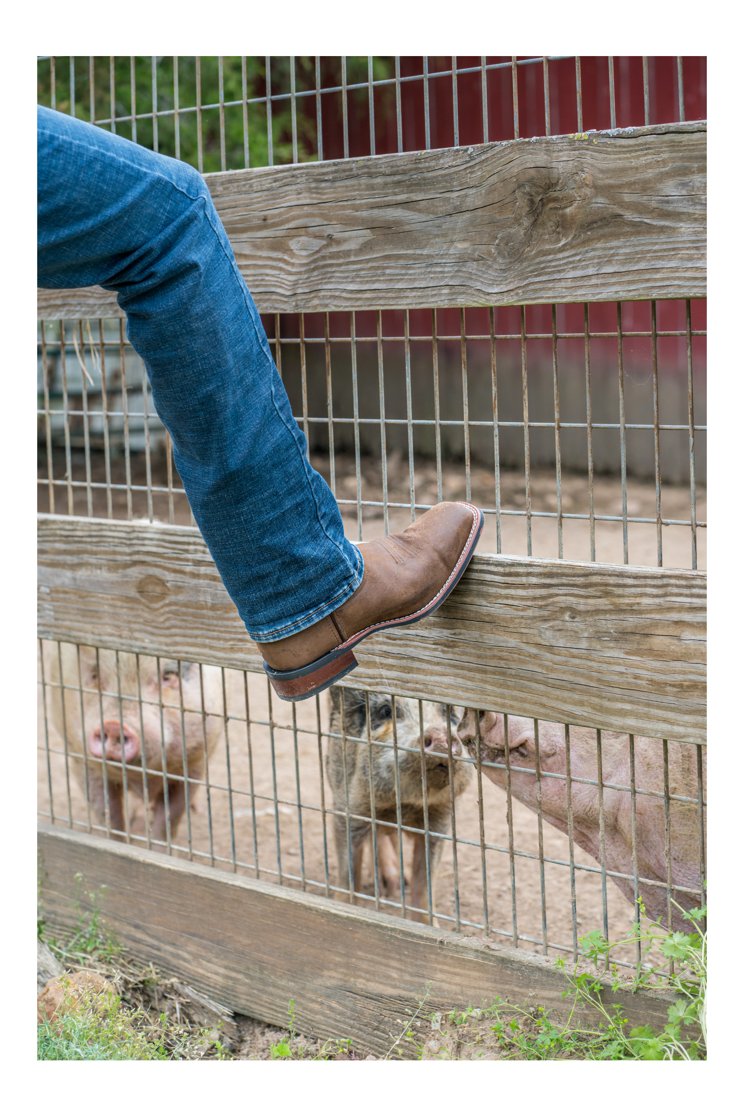 Laredo LODI Leather Boot - Premium Men's Ankle Boot