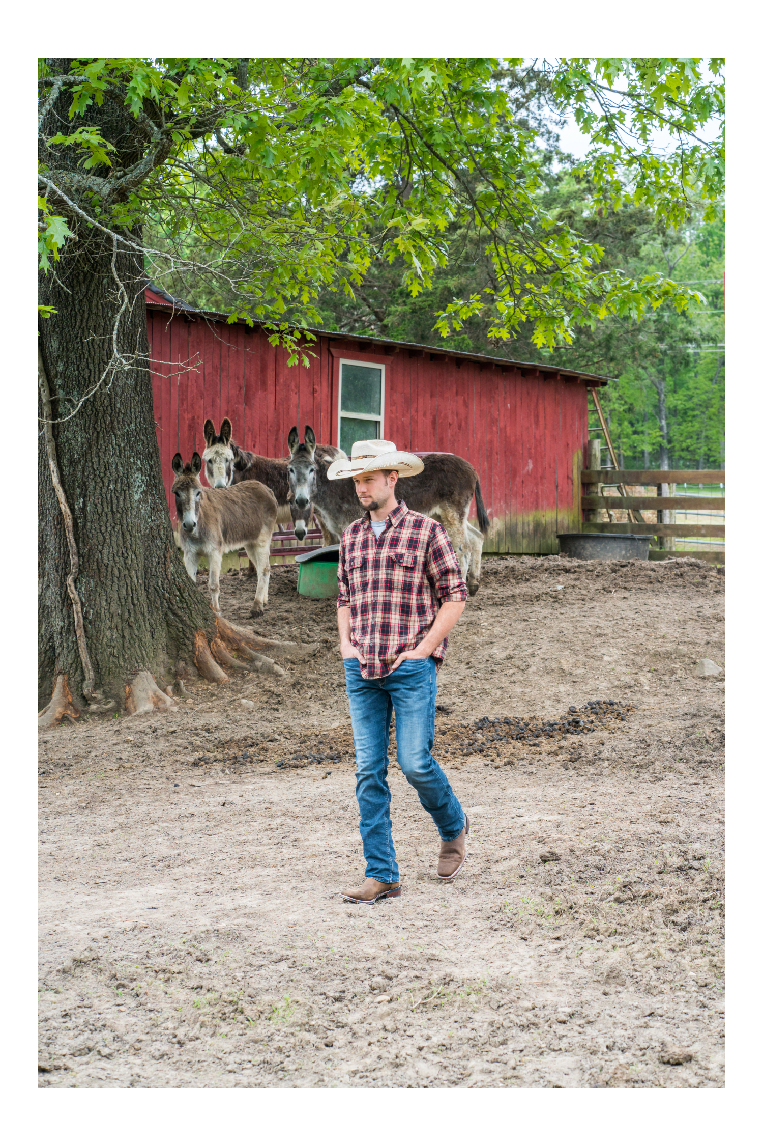 Laredo LODI Leather Boot - Premium Men's Ankle Boot