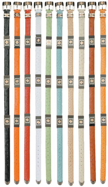 Cinturón con soporte de avestruz cromado negro y diamantes