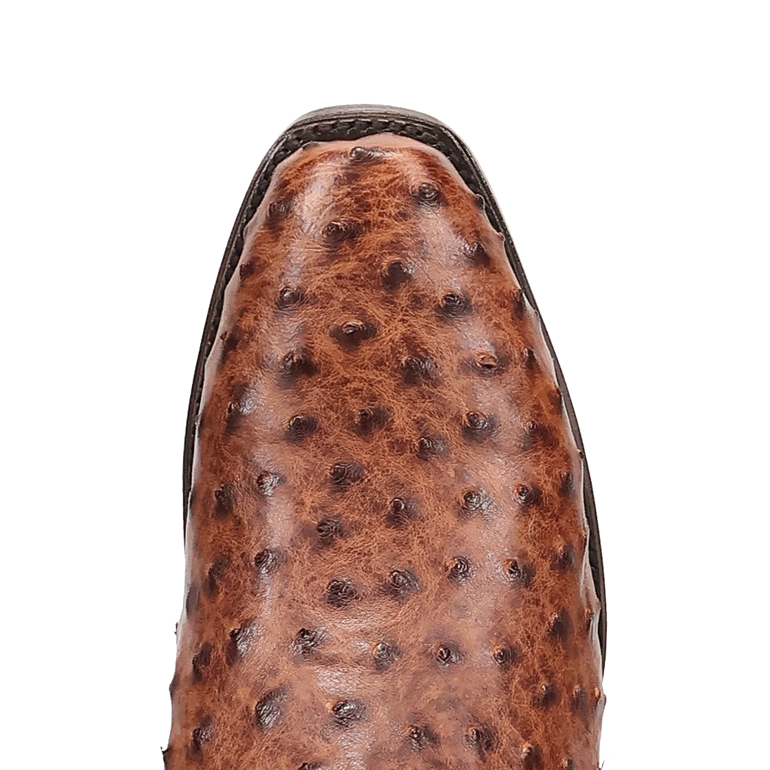 Dan Post Marco Ostrich Boot - Full Quill Luxury