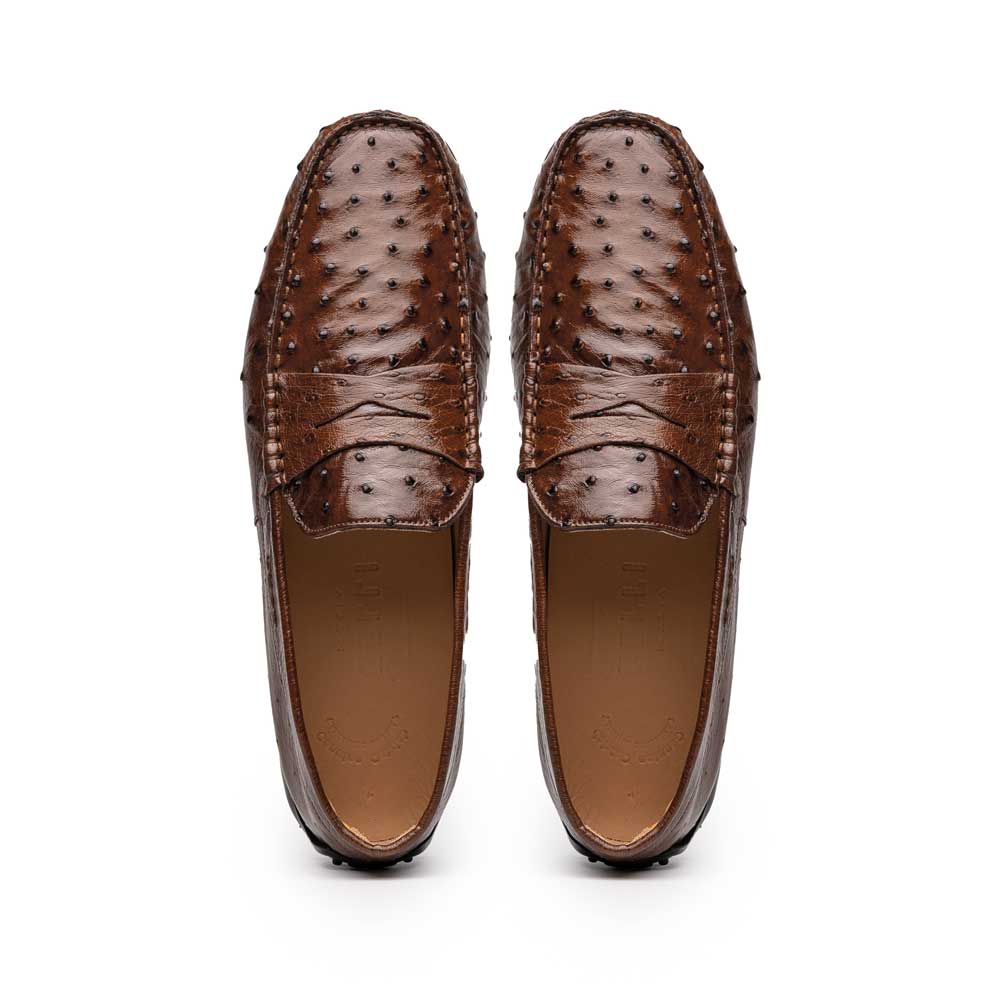 Zelli Monza Genuine Ostrich Quill Driving Loafers in Brown