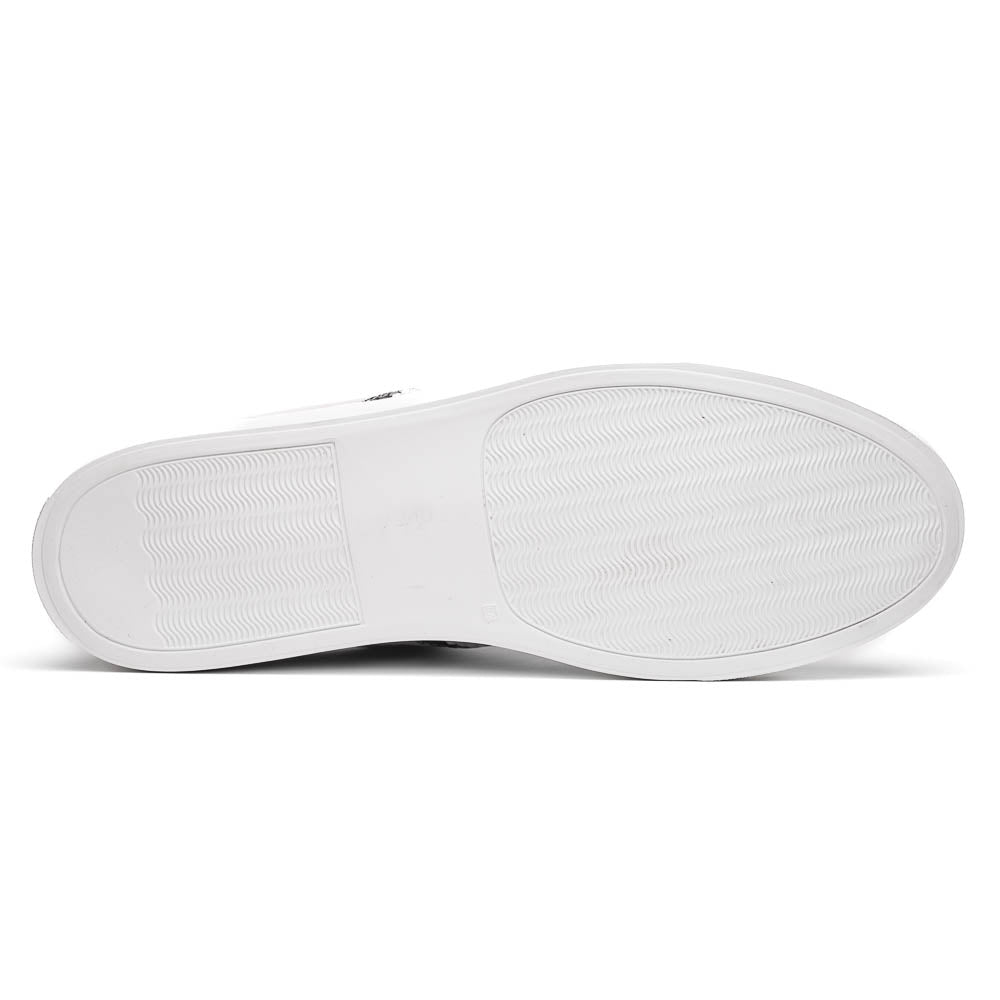 Zelli Olympias Python and Sueded Goatskin Luxury Sneakers in Grey