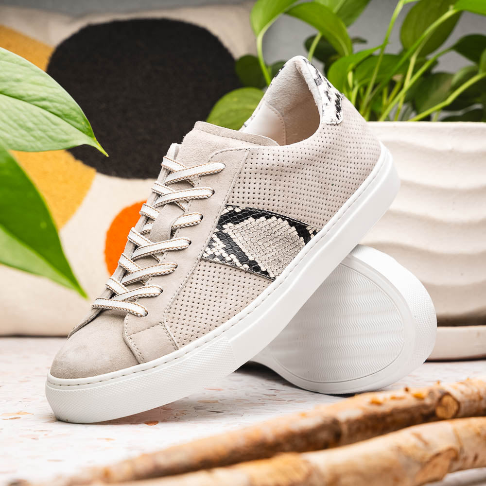 Zelli Olympias Python and Sueded Goatskin Luxury Sneakers in Grey