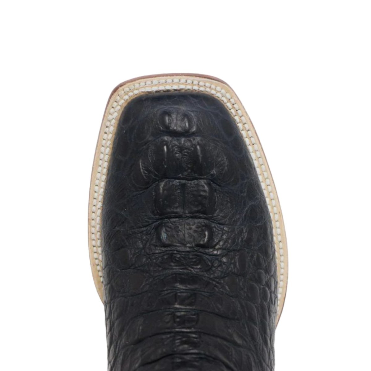 Tanner Mark Women's Amberlyn Print Caiman Hornback Square Toe Boots Black