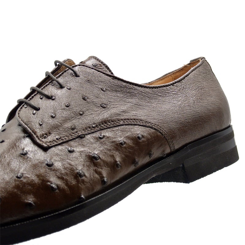 Zelli Andrea Genuine Ostrich Cap Toe Derby Dress Shoes in Brown